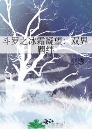 冰霜凝望：双界羁绊